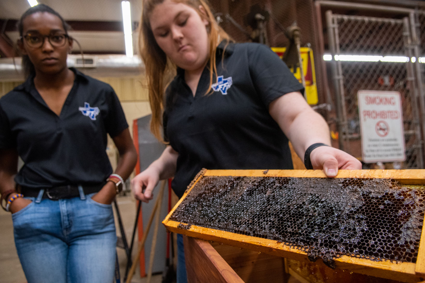 11172019_local_bees-2.jpg